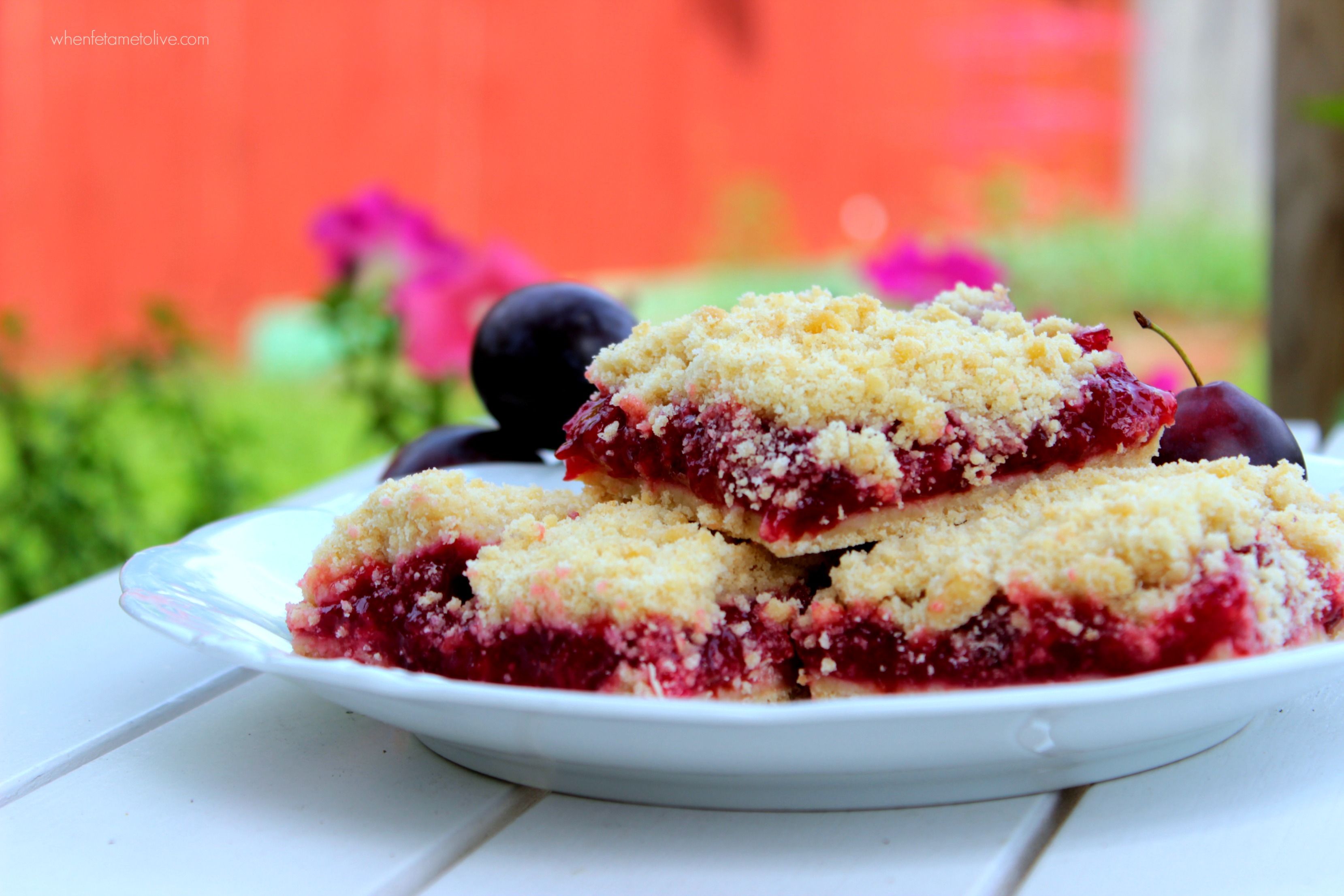 Prune Bars